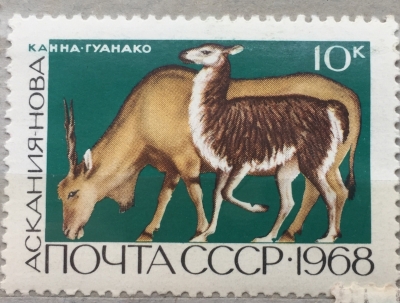 Почтовая марка СССР Канна и а гуанако | Год выпуска 1968 | Код по каталогу Загорского 3600