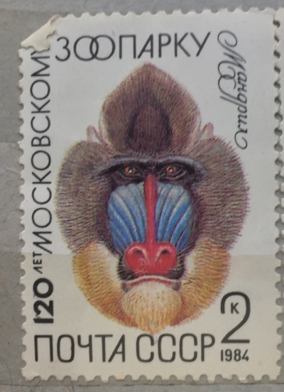 Почтовая марка СССР Обезьяна мандрил | Год выпуска 1984 | Код по каталогу Загорского 5408