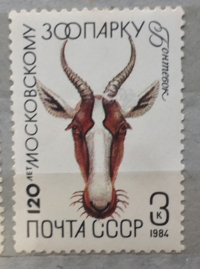 Почтовая марка СССР Антилопа бонтебок | Год выпуска 1984 | Код по каталогу Загорского 5409