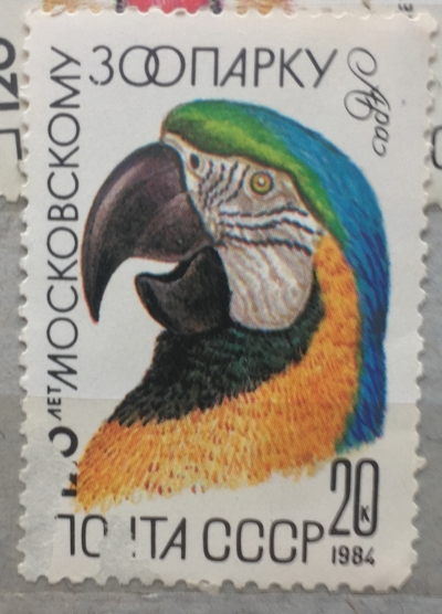 Почтовая марка СССР Попугай ара | Год выпуска 1984 | Код по каталогу Загорского 5412