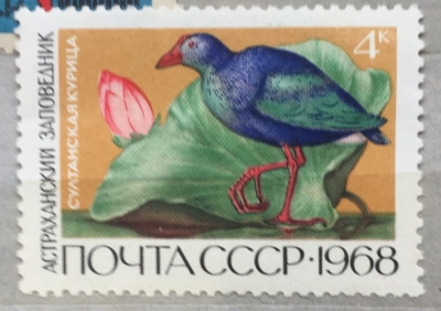 Почтовая марка СССР Султанская курица | Год выпуска 1968 | Код по каталогу Загорского 3595