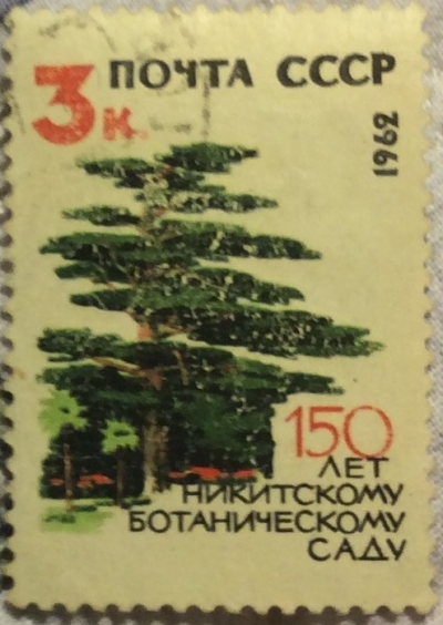 Почтовая марка СССР Ливанский кедр | Год выпуска 1962 | Код по каталогу Загорского 2655