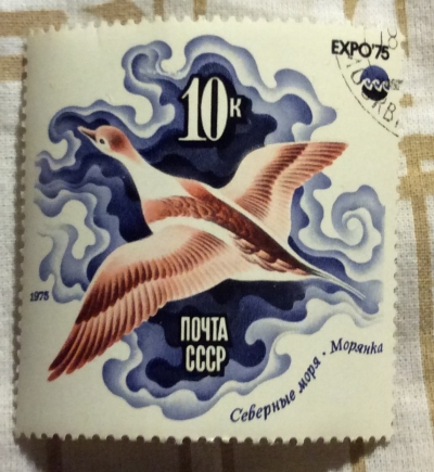 Почтовая марка СССР Утка морянка. Северные моря | Год выпуска 1975 | Код по каталогу Загорского 4429