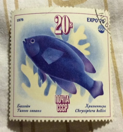 Почтовая марка СССР Рыба хризиптера | Год выпуска 1975 | Код по каталогу Загорского 4431