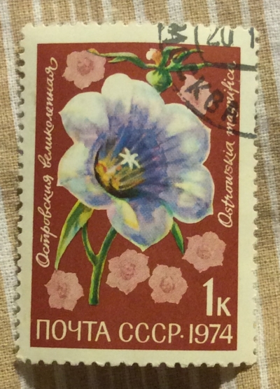 Почтовая марка СССР Островския великолепная (Ostrowskia magnifica) | Год выпуска 1974 | Код по каталогу Загорского 4351-2