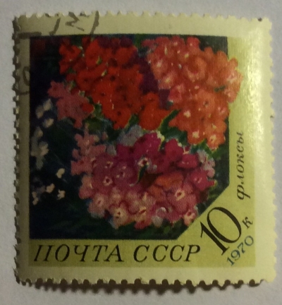 Почтовая марка СССР Флоксы | Год выпуска 1970 | Код по каталогу Загорского 3869