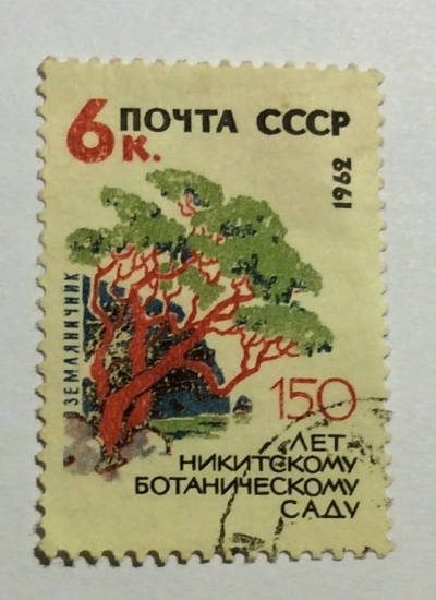 Почтовая марка СССР Земляничник | Год выпуска 1962 | Код по каталогу Загорского 2657
