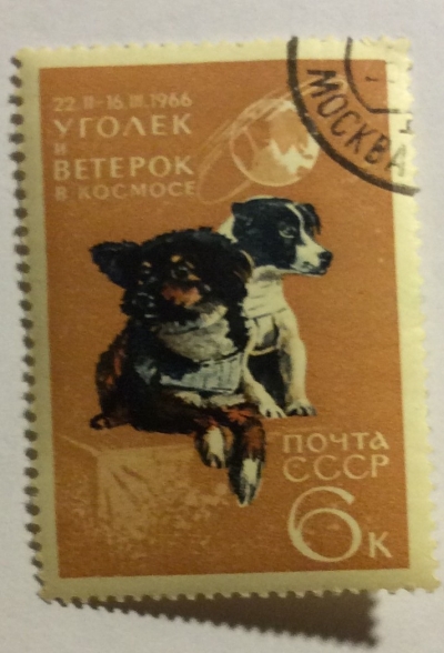 Почтовая марка СССР Собаки Уголек и Ветерок, находившиеся на борту ИО "Космос 110" | Год выпуска 1963 | Код по каталогу Загорского 3292-2