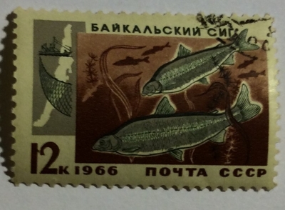 Почтовая марка СССР Сиг | Год выпуска 1966 | Код по каталогу Загорского 3317-2