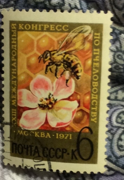 Почтовая марка СССР Пчела на цветке | Год выпуска 1971 | Код по каталогу Загорского 3923