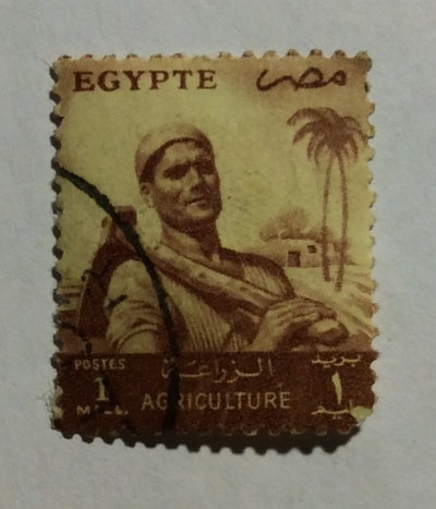 Почтовая марка Египет (Postes Egypte) Regular Issue of 1953-55 Overprinted | Год выпуска 1955 | Код каталога Михеля (Michel) EG-PS 70