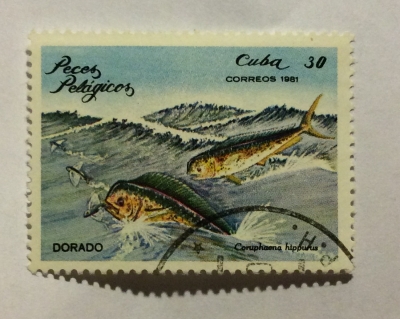 Почтовая марка Куба (Cuba correos) Common Dolphinfish (Coryphaena hippurus) | Год выпуска 1981 | Код каталога Михеля (Michel) CU 2538