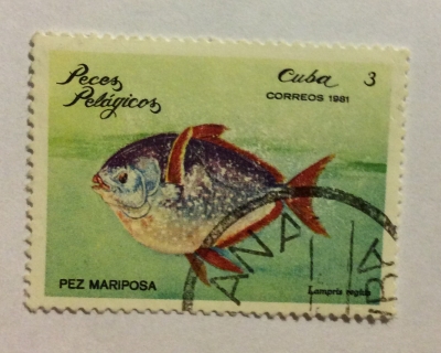 Почтовая марка Куба (Cuba correos) Opah (Lampris regius) | Год выпуска 1981 | Код каталога Михеля (Michel) CU 2535