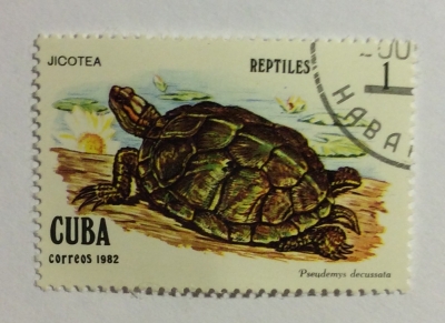 Почтовая марка Куба (Cuba correos) Cuban Slider (Pseudemys decussata) | Год выпуска 1982 | Код каталога Михеля (Michel) CU 2667