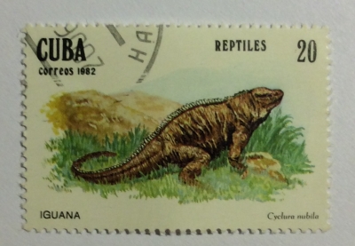 Почтовая марка Куба (Cuba correos) Cuban Rock Iguana (Cyclura nubila) | Год выпуска 1982 | Код каталога Михеля (Michel) CU 2670