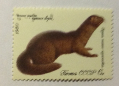 Почтовая марка СССР Темно-коричневая норка | Год выпуска 1980 | Код по каталогу Загорского 5020