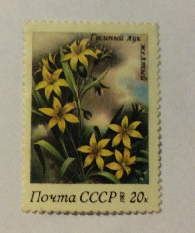 Почтовая марка СССР Гусиный лук желтый | Год выпуска 1983 | Код по каталогу Загорского 5334