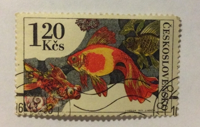 Почтовая марка Чехословакия (Ceskoslovensko) Goldfish (Carassius auratus) | Год выпуска 1975 | Код каталога Михеля (Michel) CS 2262
