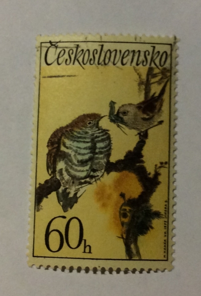 Почтовая марка Чехословакия (Ceskoslovensko) Common Cuckoo (Cuculus canorus), Garden Warbler (Sylvia bori) | Год выпуска 1972 | Код каталога Михеля (Michel) CS 2110