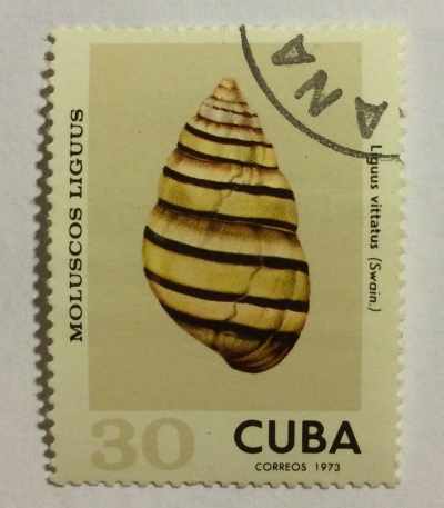 Почтовая марка Куба (Cuba correos) Liguus Tree Snail (Liguus vittatus) | Год выпуска 1973 | Код каталога Михеля (Michel) CU 1924