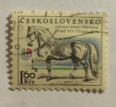 Почтовая марка Чехословакия (Ceskoslovensko) Kladruby Stallion (Equus ferus caballus) "Generalissimus XXV | Год выпуска 1975 | Код каталога Михеля (Michel) CS 2338