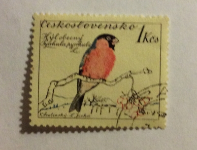 Почтовая марка Чехословакия (Ceskoslovensko) Eurasian Bullfinch (Pyrrhula pyrrhula) | Год выпуска 1959 | Код каталога Михеля (Michel) CS 1168