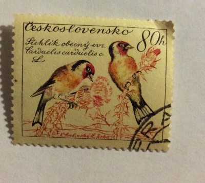 Почтовая марка Чехословакия (Ceskoslovensko) European Goldfinch (Carduelis carduelis) | Год выпуска 1959 | Код каталога Михеля (Michel) CS 1167