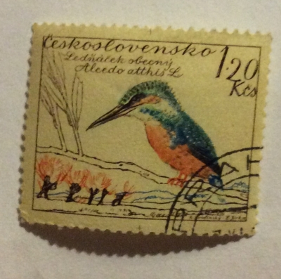 Почтовая марка Чехословакия (Ceskoslovensko) Common Kingfisher (Alcedo atthis) | Год выпуска 1959 | Код каталога Михеля (Michel) CS 1169