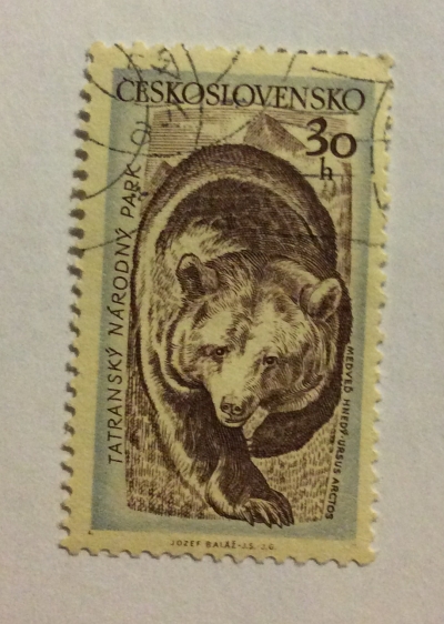 Почтовая марка Чехословакия (Ceskoslovensko) Brown Bear (Ursus arctos) | Год выпуска 1957 | Код каталога Михеля (Michel) CS 1036