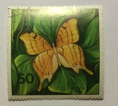 Почтовая марка Куба (Cuba correos) Antillean Daggerwing (Marpesia eleuchea eleuchea) | Год выпуска 1982 | Код каталога Михеля (Michel) CU 2632