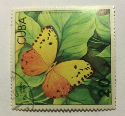 Почтовая марка Куба (Cuba correos) Red-splashed Sulphur (Phoebis avellaneda) | Год выпуска 1982 | Код каталога Михеля (Michel) CU 2630