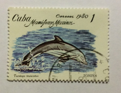 Почтовая марка Куба (Cuba correos) Common Bottlenose Dolphin (Tursiops truncatus) | Год выпуска 1980 | Код каталога Михеля (Michel) CU 2483