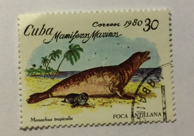 Почтовая марка Куба (Cuba correos) Caribban Monk Seal (Monachus tropicalis) | Год выпуска 1980 | Код каталога Михеля (Michel) CU 2486