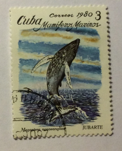 Почтовая марка Куба (Cuba correos) Humpback Whale (Megaptera novaeangliae) | Год выпуска 1980 | Код каталога Михеля (Michel) CU 2484