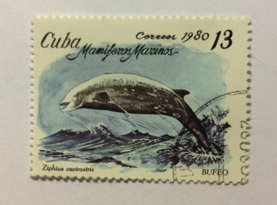 Почтовая марка Куба (Cuba correos) Cuvier's Beaked Whale (Ziphius cavirostris) | Год выпуска 1980 | Код каталога Михеля (Michel) CU 2485