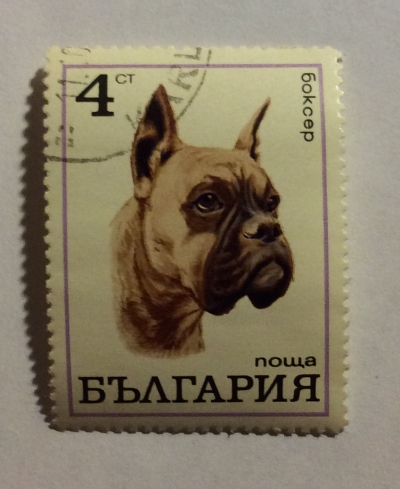 Почтовая марка Болгария (НР България) Boxer | Год выпуска 1970 | Код каталога Михеля (Michel) BG 2024