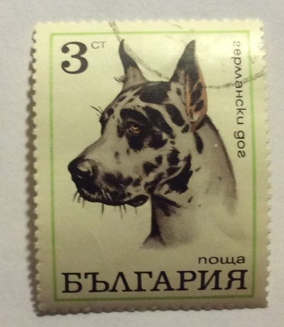 Почтовая марка Болгария (НР България) Great Dane | Год выпуска 1970 | Код каталога Михеля (Michel) BG 2023