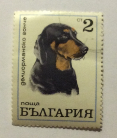 Почтовая марка Болгария (НР България) Pointer | Год выпуска 1970 | Код каталога Михеля (Michel) BG 2022