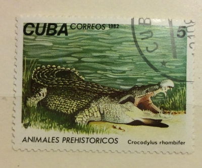 Почтовая марка Куба (Cuba correos) Cuban Crocodyle (Crocodylus rhombifer) | Год выпуска 1982 | Код каталога Михеля (Michel) CU 2692