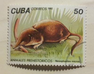 Почтовая марка Куба (Cuba correos) Western Cuban Nesophontes (Nesophontes micrus) | Год выпуска 1982 | Код каталога Михеля (Michel) CU 2696
