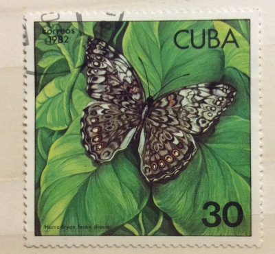 Почтовая марка Куба (Cuba correos) Caribbean Cracker (Hamadryas ferox diasia) | Год выпуска 1982 | Код каталога Михеля (Michel) CU 2631