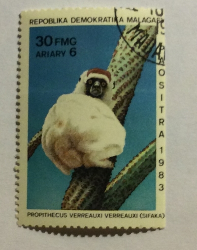 Почтовая марка Мадагаскар (Repoblika Malagasy) Verreaux’s Sifaka (Propithecus verreauxi) | Год выпуска 1983 | Код каталога Михеля (Michel) MG 927
