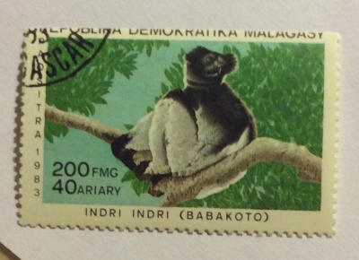 Почтовая марка Мадагаскар (Repoblika Malagasy) Indri (Indri indri) | Год выпуска 1983 | Код каталога Михеля (Michel) MG 930