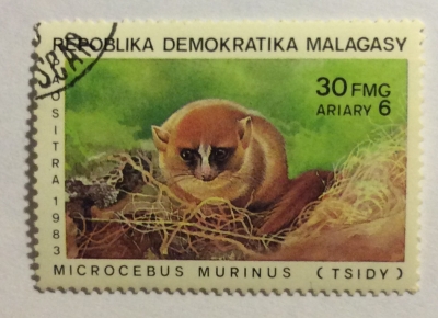 Почтовая марка Мадагаскар (Repoblika Malagasy) Gray Mouse Lemur (Microcebus murinus) | Год выпуска 1983 | Код каталога Михеля (Michel) MG 929
