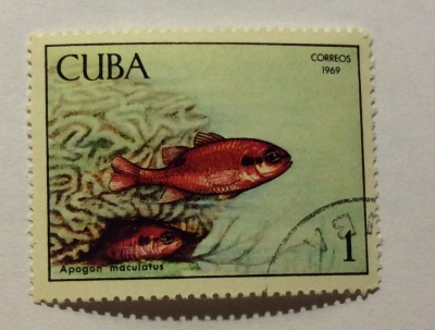 Почтовая марка Куба (Cuba correos) Flamefish (Apogon maculatus) | Год выпуска 1969 | Код каталога Михеля (Michel) CU 1483