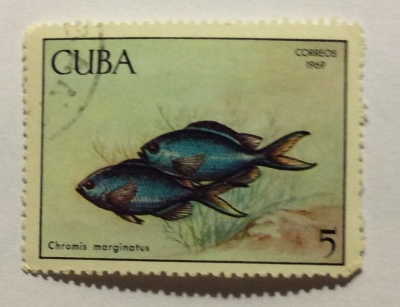 Почтовая марка Куба (Cuba correos) (Chromis marginatus) | Год выпуска 1969 | Код каталога Михеля (Michel) CU 1487