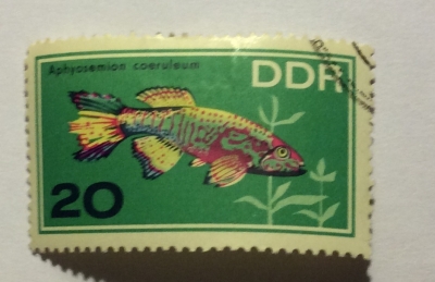 Почтовая марка ГДР (DDR) Blue Gularis (Aphyosemion coeruleum) | Год выпуска 1966 | Код каталога Михеля (Michel) DD 1224