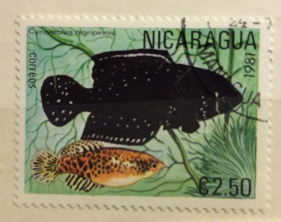 Почтовая марка Никарагуа (Nicaragua correos) Blackfin Pearlfish (Austrolebias nigripinnis) | Год выпуска 1981 | Код каталога Михеля (Michel) NI 2212