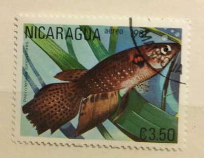 Почтовая марка Никарагуа (Nicaragua correos) Long Fin Killifish (Pterolebias longipinnis) | Год выпуска 1981 | Код каталога Михеля (Michel) NI 2213