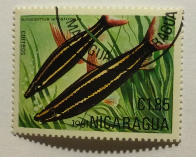 Почтовая марка Никарагуа (Nicaragua correos) Striped Anostomus (Anostomus anostomus) | Год выпуска 1981 | Код каталога Михеля (Michel) NI 2210